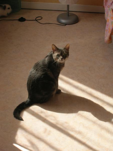 Sp�cialement pour ma Fleurette